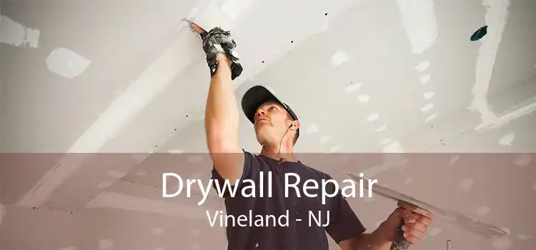 Drywall Repair Vineland - NJ