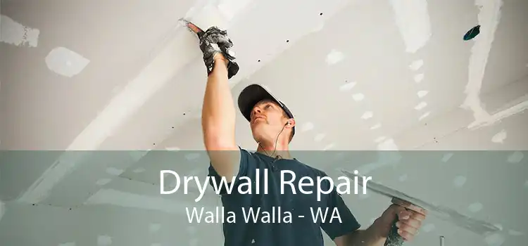 Drywall Repair Walla Walla - WA