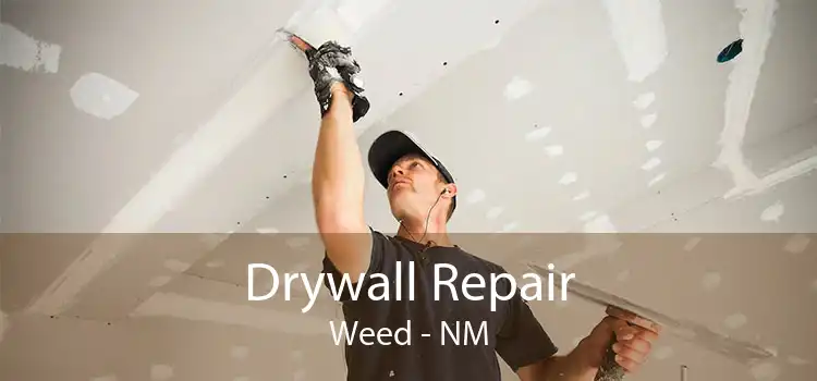 Drywall Repair Weed - NM
