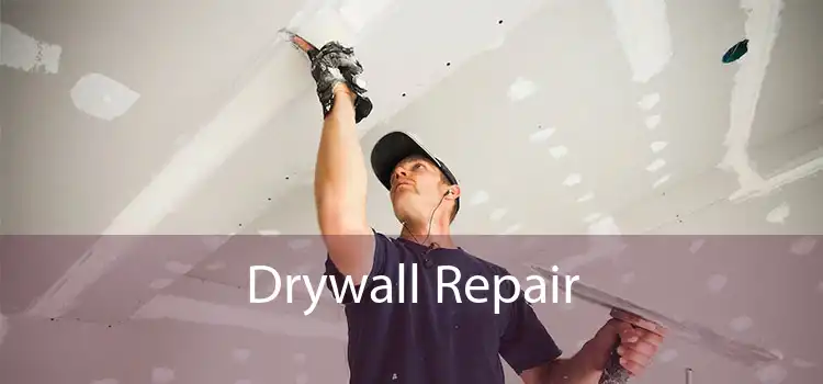 Drywall Repair 