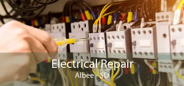 Electrical Repair Albee - SD