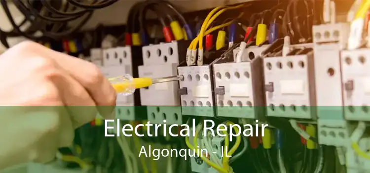 Electrical Repair Algonquin - IL