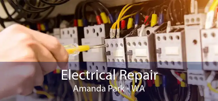 Electrical Repair Amanda Park - WA
