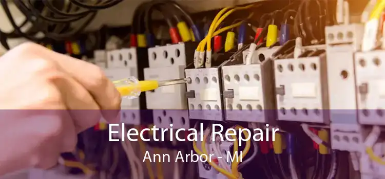 Electrical Repair Ann Arbor - MI