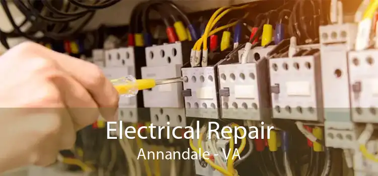 Electrical Repair Annandale - VA