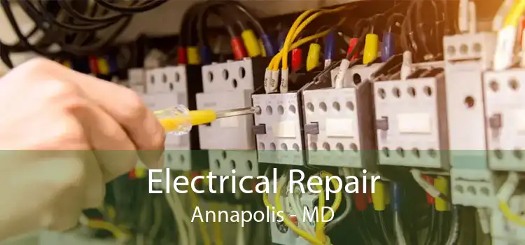 Electrical Repair Annapolis - MD