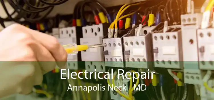 Electrical Repair Annapolis Neck - MD