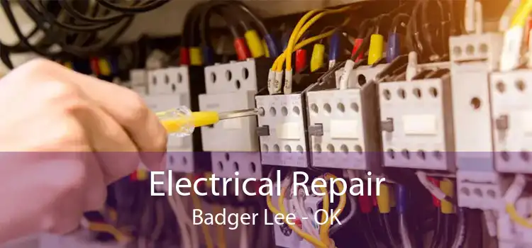 Electrical Repair Badger Lee - OK