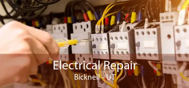 Electrical Repair Bicknell - UT