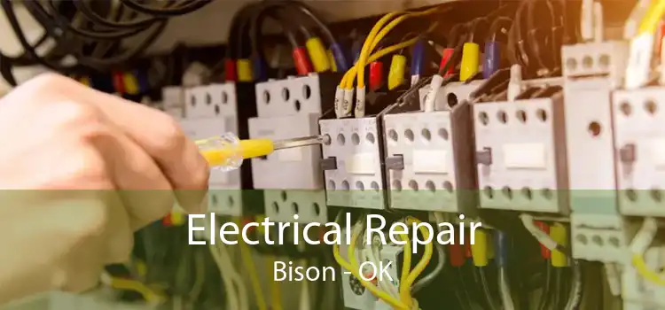 Electrical Repair Bison - OK