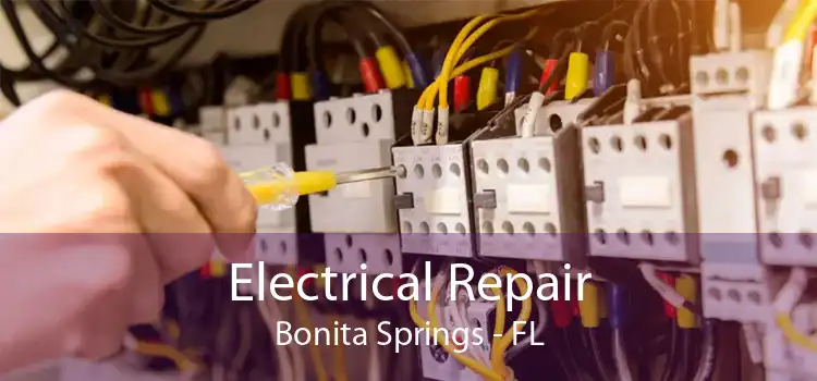 Electrical Repair Bonita Springs - FL