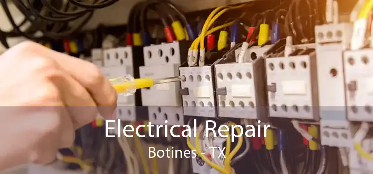 Electrical Repair Botines - TX