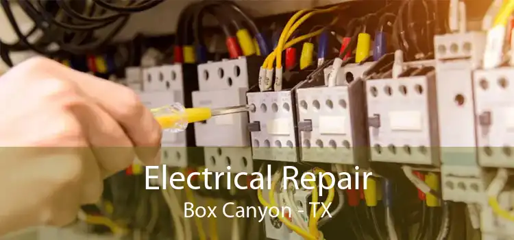 Electrical Repair Box Canyon - TX
