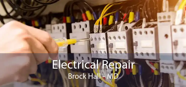 Electrical Repair Brock Hall - MD