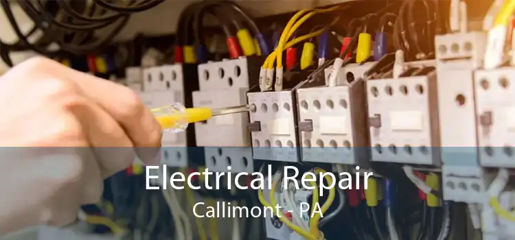 Electrical Repair Callimont - PA