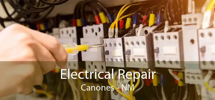 Electrical Repair Canones - NM