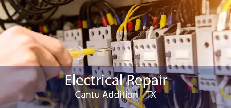 Electrical Repair Cantu Addition - TX