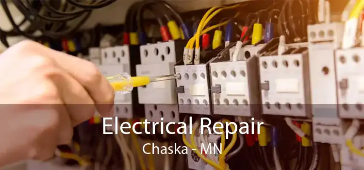 Electrical Repair Chaska - MN