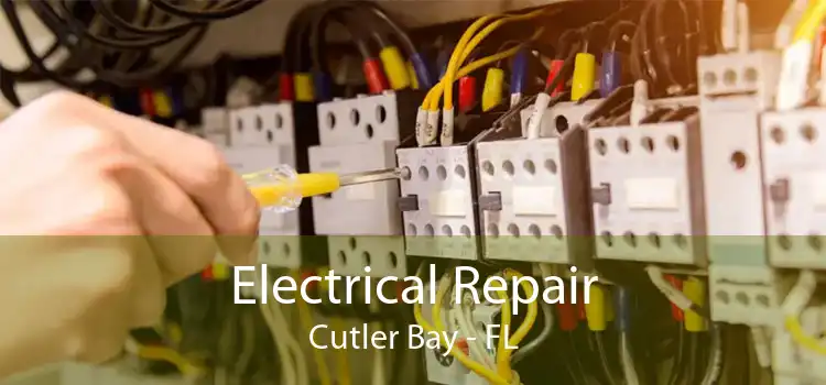 Electrical Repair Cutler Bay - FL
