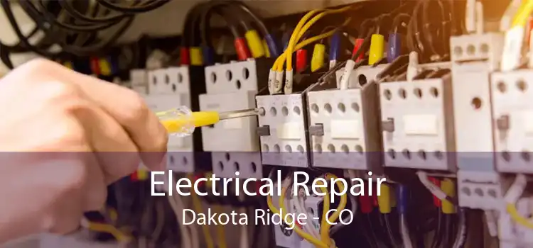 Electrical Repair Dakota Ridge - CO