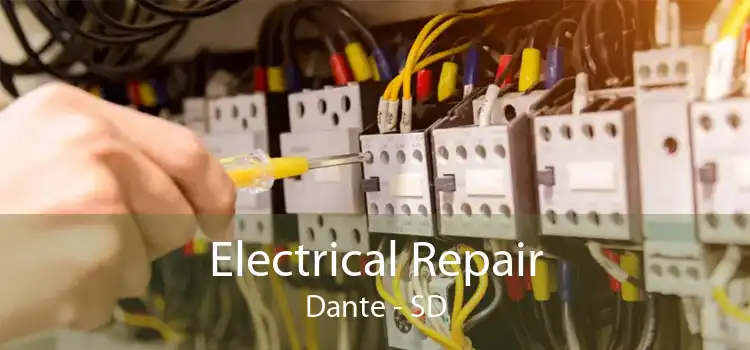 Electrical Repair Dante - SD