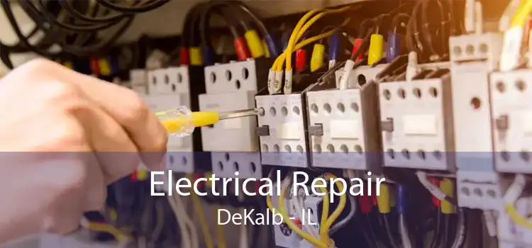 Electrical Repair DeKalb - IL