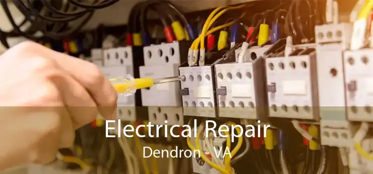 Electrical Repair Dendron - VA