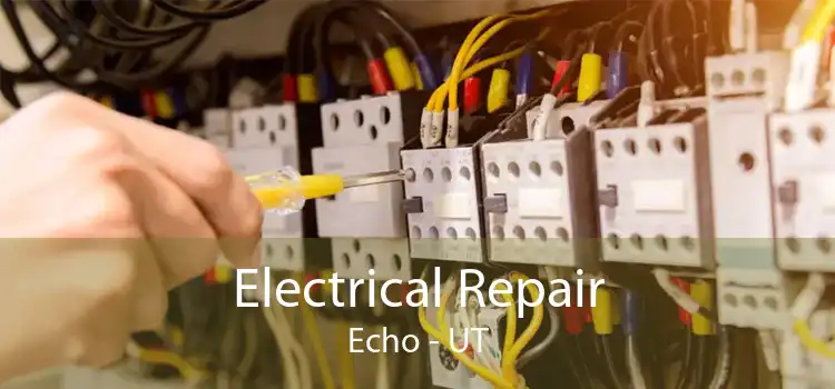 Electrical Repair Echo - UT