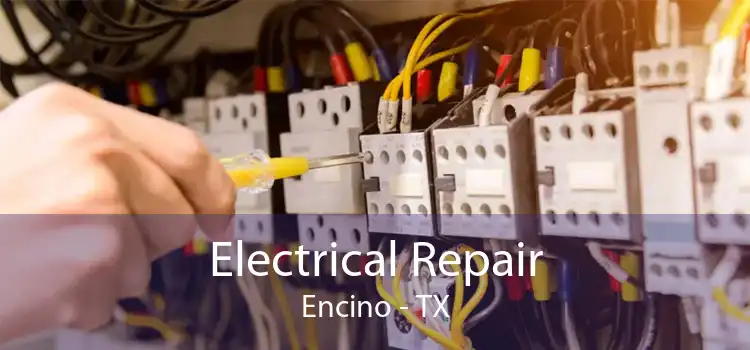 Electrical Repair Encino - TX