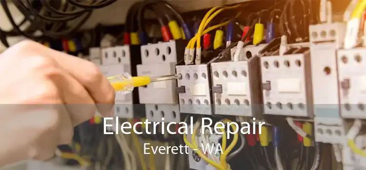 Electrical Repair Everett - WA