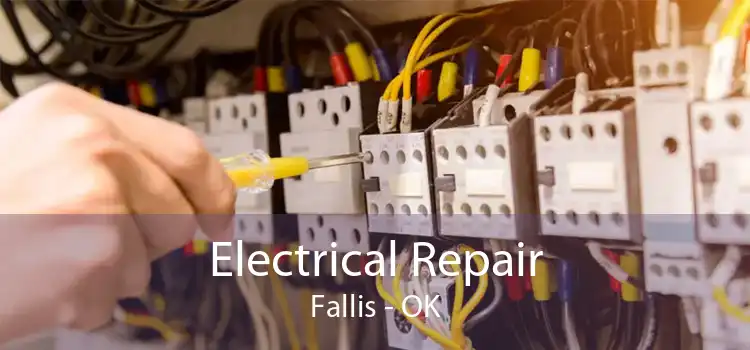 Electrical Repair Fallis - OK