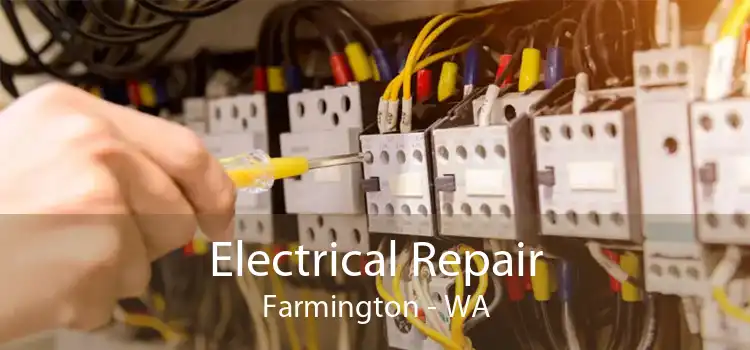 Electrical Repair Farmington - WA