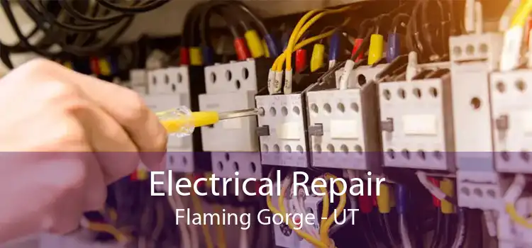 Electrical Repair Flaming Gorge - UT