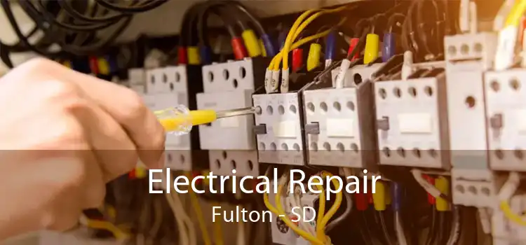 Electrical Repair Fulton - SD