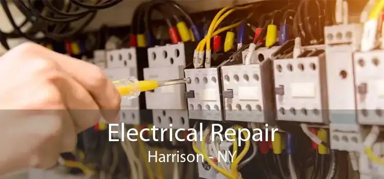 Electrical Repair Harrison - NY