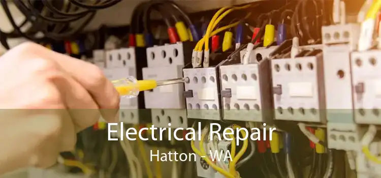 Electrical Repair Hatton - WA