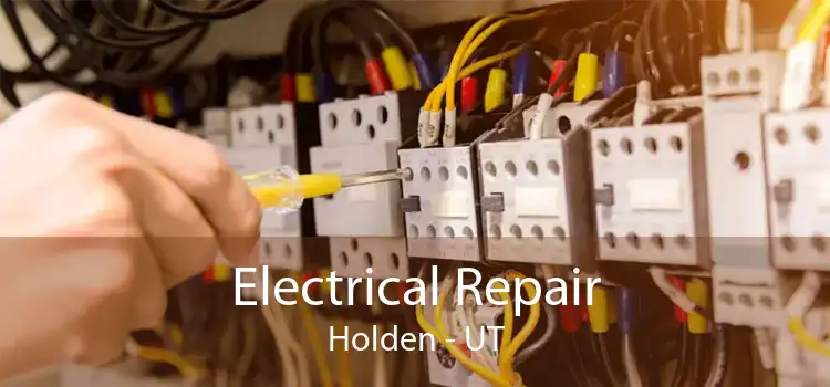 Electrical Repair Holden - UT