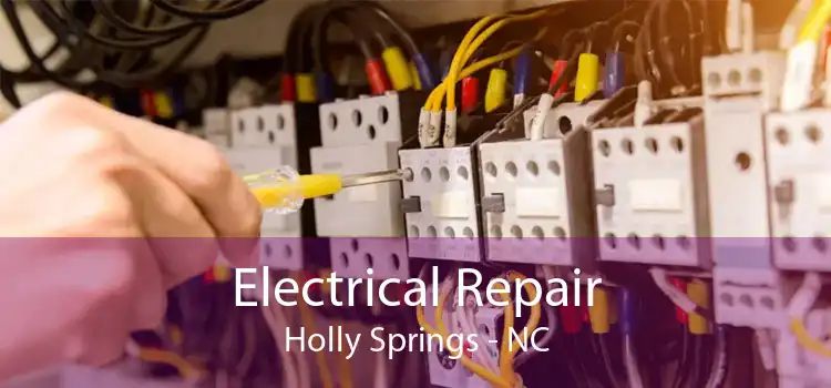 Electrical Repair Holly Springs - NC