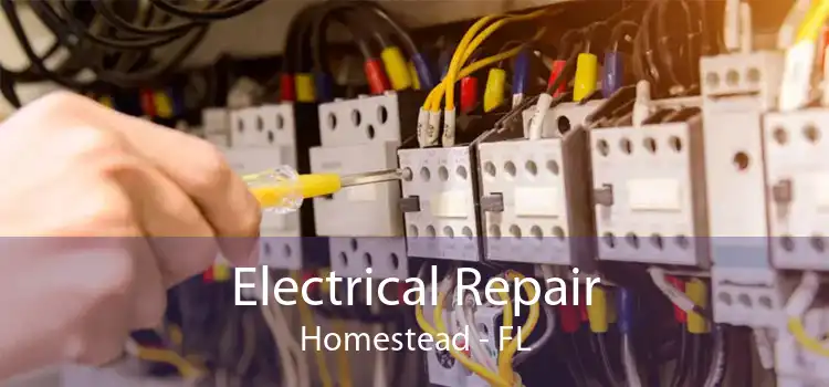 Electrical Repair Homestead - FL