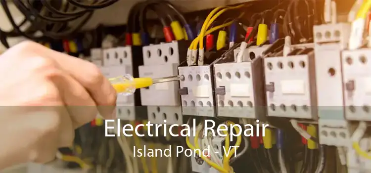 Electrical Repair Island Pond - VT