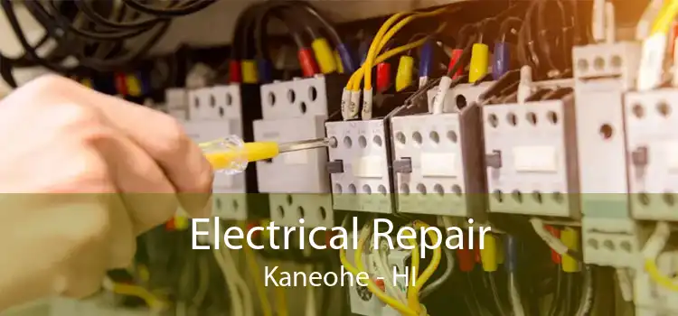 Electrical Repair Kaneohe - HI