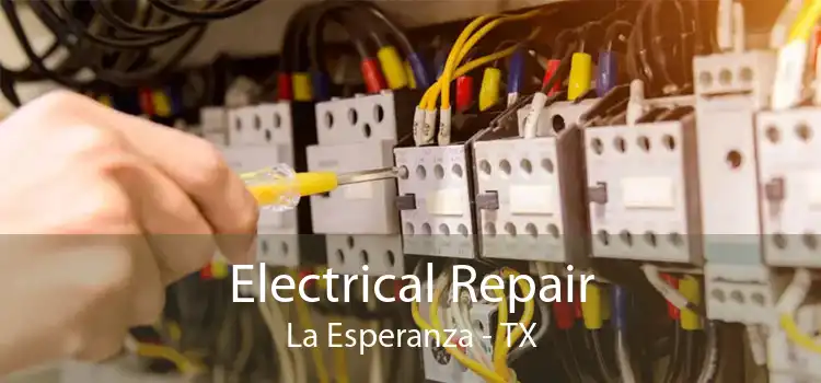 Electrical Repair La Esperanza - TX