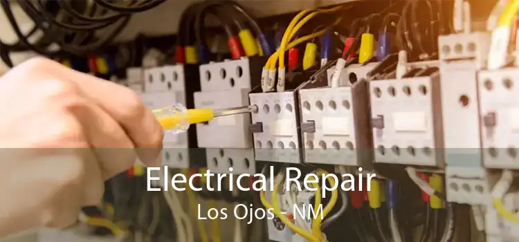 Electrical Repair Los Ojos - NM