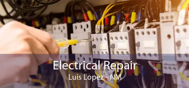 Electrical Repair Luis Lopez - NM