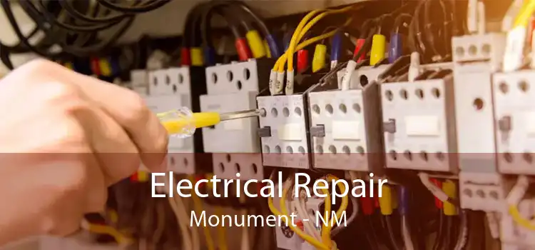 Electrical Repair Monument - NM