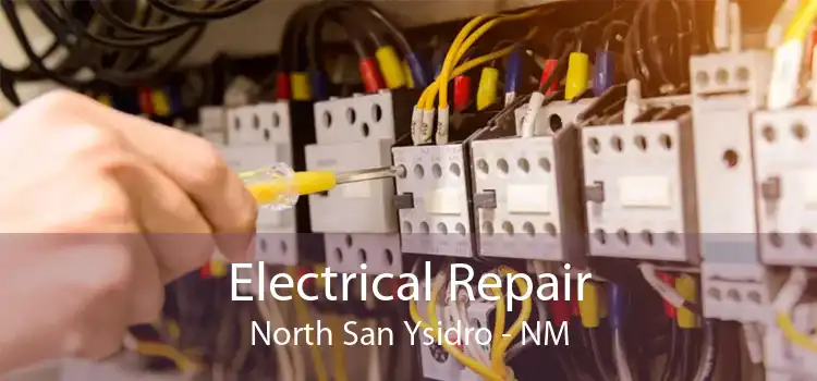 Electrical Repair North San Ysidro - NM