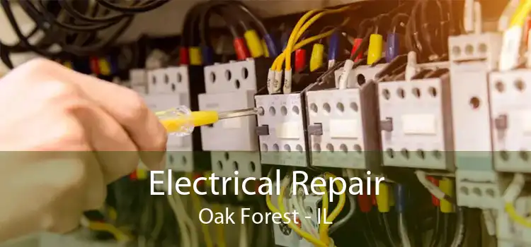 Electrical Repair Oak Forest - IL