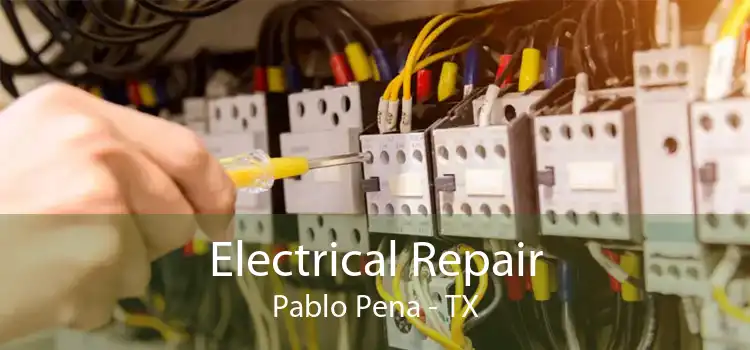 Electrical Repair Pablo Pena - TX
