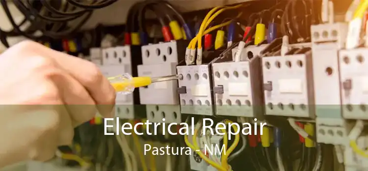 Electrical Repair Pastura - NM