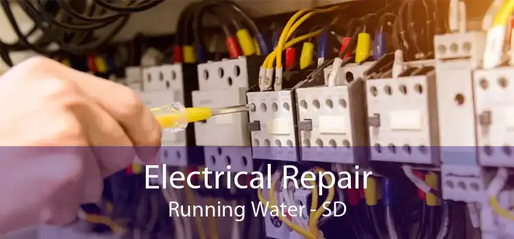 Electrical Repair Running Water - SD